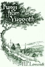 Fungi Book Cover Final